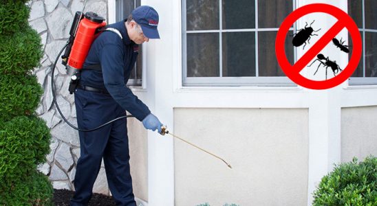 Bozyaka Böcek İlaçlama böcek ilaçlama ve haşere kontrolü — ilaclama-tr.com
